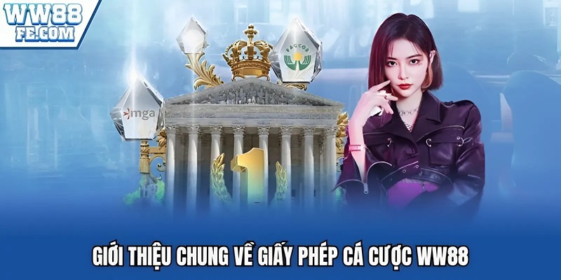 Giới thiệu chung về giấy phép cá cược WW88
